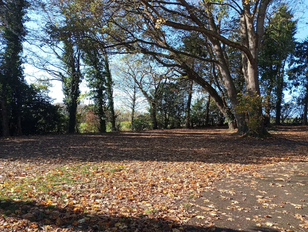 Domaine de la Pinière